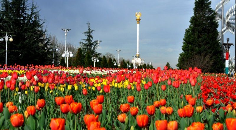 «ВАССОФИ ВАТАН». Фестивал-озмуни тарғибгари дастовардҳои миллӣ оғоз гардид